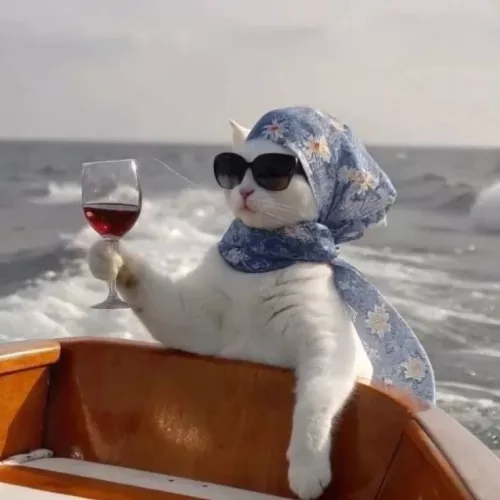 Высокооплачиваемая работа для девушек Сочи